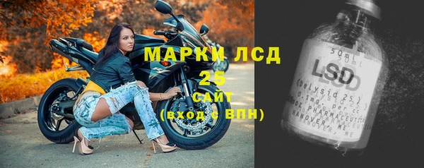 ECSTASY Белокуриха