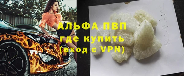 прущие грибы Семёнов