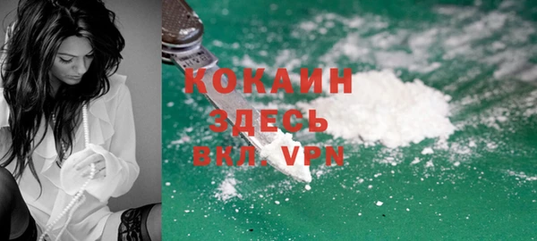 сатива Богданович